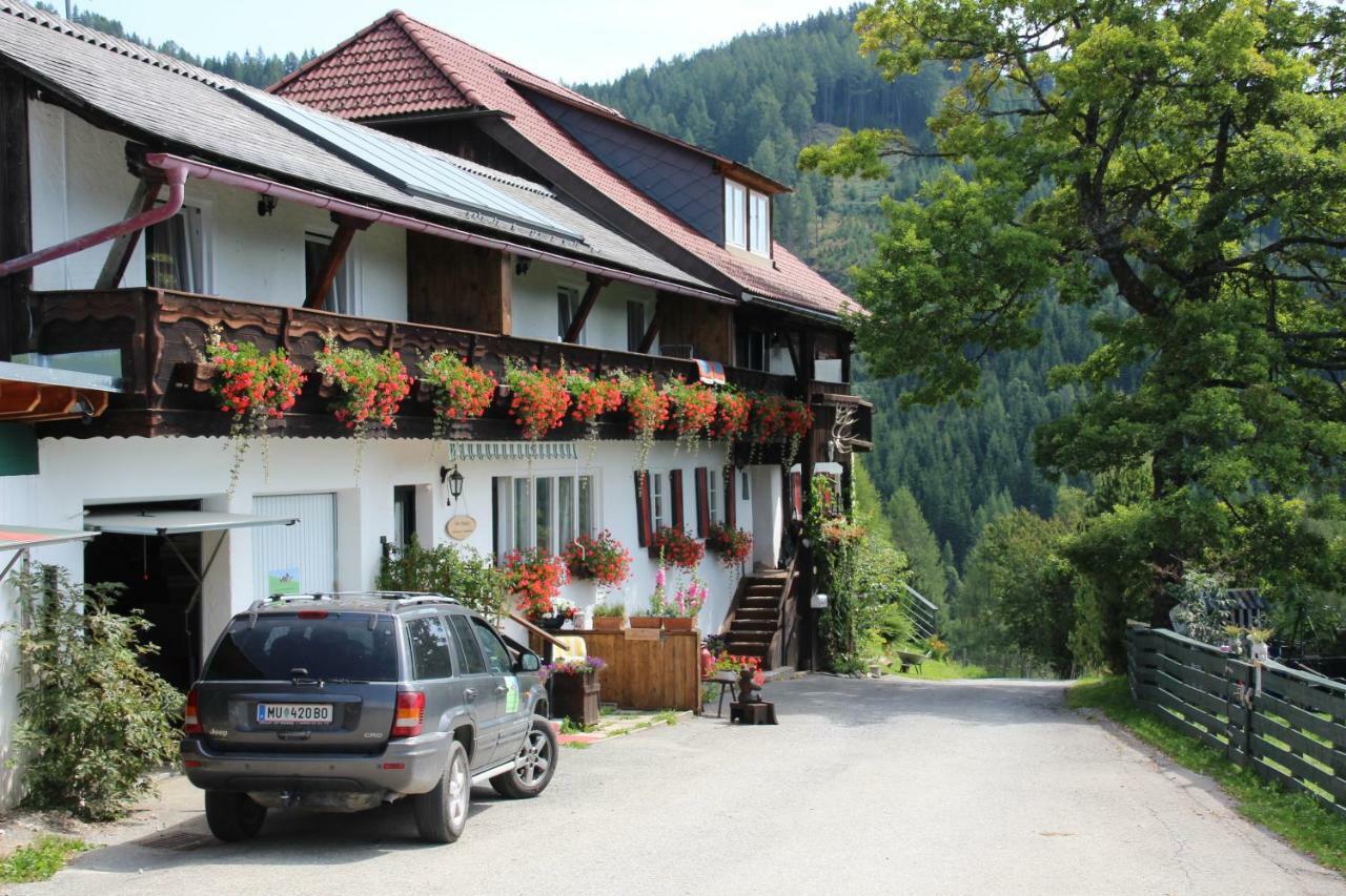 Haus Mauken - Appartments Mit Panoramablick Murau Exterior foto